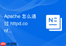 Apache 怎么通过 httpd.conf 配置代理服务透传客户端证书