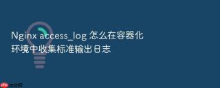 Nginx access_log 怎么在容器化环境中收集标准输出日志