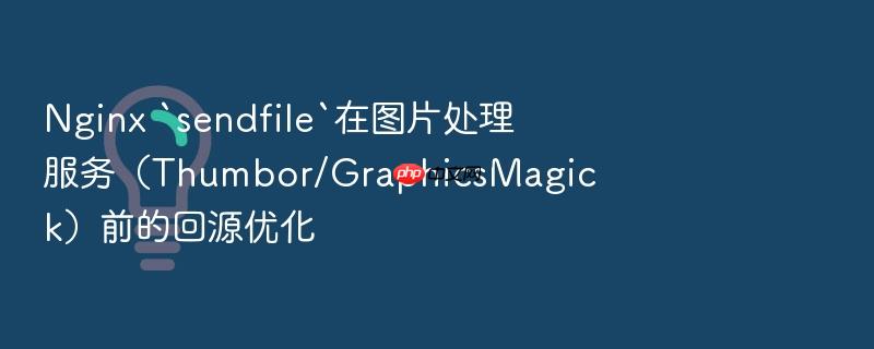 nginx `sendfile`在图片处理服务(thumbor/graphicsmagick)前的回源优化