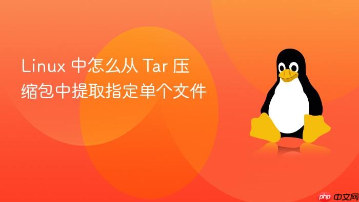 linux 中怎么从 tar 压缩包中提取指定单个文件