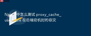 nginx 中怎么测试 proxy_cache_use_stale 在后端宕机时的容灾