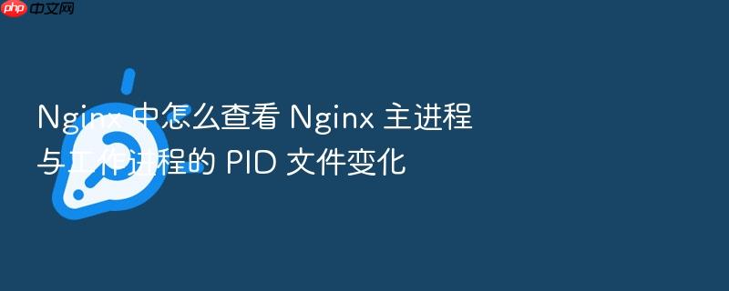 nginx 中怎么查看 nginx 主进程与工作进程的 pid 文件变化