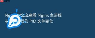 nginx 中怎么查看 nginx 主进程与工作进程的 pid 文件变化