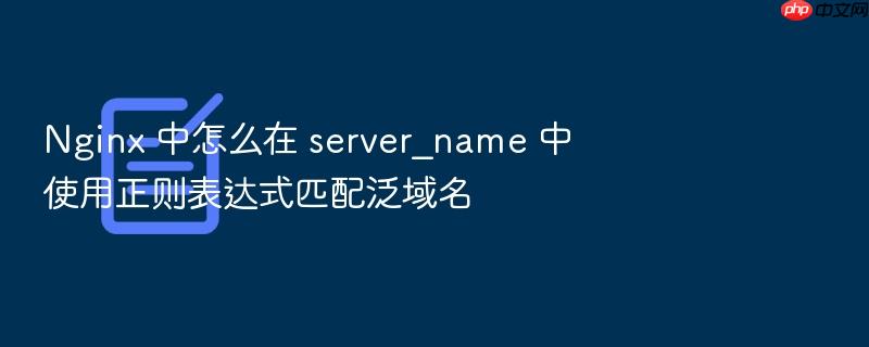 nginx 中怎么在 server_name 中使用正则表达式匹配泛域名