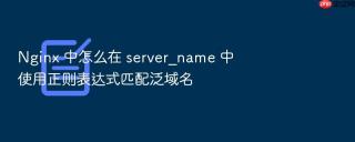 nginx 中怎么在 server_name 中使用正则表达式匹配泛域名