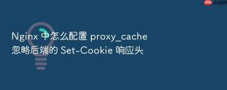 nginx 中怎么配置 proxy_cache 忽略后端的 set-cookie 响应头