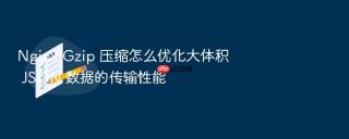 Nginx Gzip 压缩怎么优化大体积 JSON 数据的传输性能