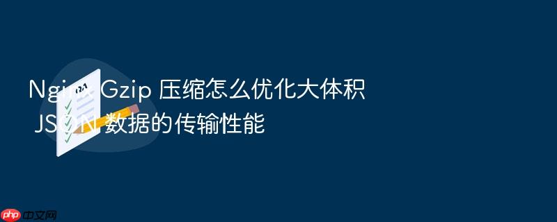 nginx gzip 压缩怎么优化大体积 json 数据的传输性能