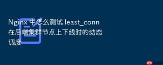 nginx 中怎么测试 least_conn 在后端集群节点上下线时的动态调度