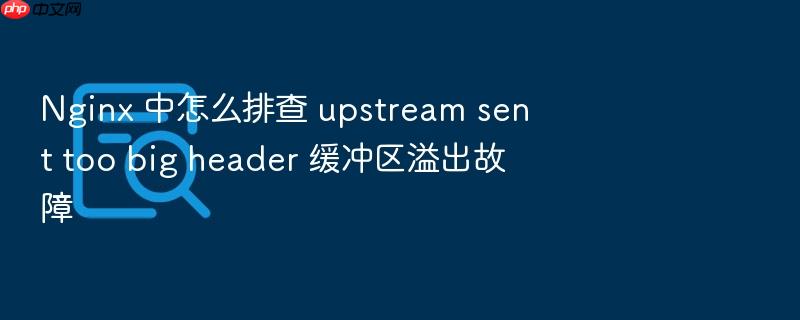 nginx 中怎么排查 upstream sent too big header 缓冲区溢出故障