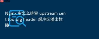 nginx 中怎么排查 upstream sent too big header 缓冲区溢出故障