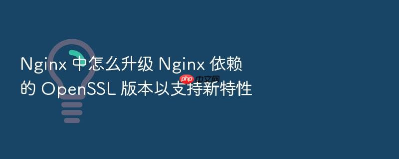 nginx 中怎么升级 nginx 依赖的 openssl 版本以支持新特性