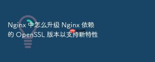 nginx 中怎么升级 nginx 依赖的 openssl 版本以支持新特性