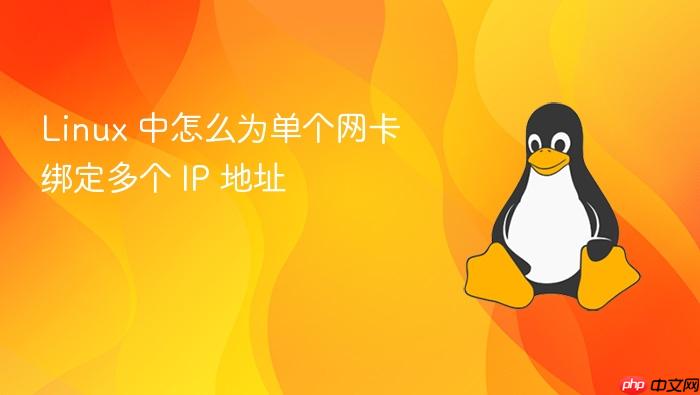 linux 中怎么为单个网卡绑定多个 ip 地址
