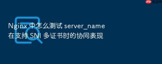 nginx 中怎么测试 server_name 在支持 sni 多证书时的协同表现
