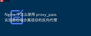 nginx 中怎么使用 proxy_pass 实现前后端分离项目的反向代理