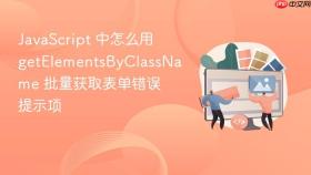 javascript 中怎么用 getelementsbyclassname 批量获取表单错误提示项