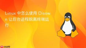 linux 中怎么使用 disown 让后台进程脱离终端运行