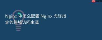 Nginx 中怎么配置 Nginx 允许指定的跨域访问来源
