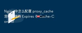 nginx 中怎么配置 proxy_cache 忽略后端的 expires 与 cache-control