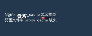 Nginx proxy_cache 怎么排查配置文件中 proxy_cache 缺失
