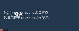 nginx proxy_cache 怎么排查配置文件中 proxy_cache 缺失