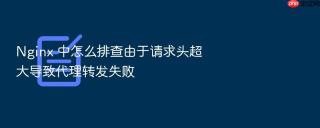 nginx 中怎么排查由于请求头超大导致代理转发失败