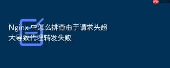 Nginx 中怎么排查由于请求头超大导致代理转发失败