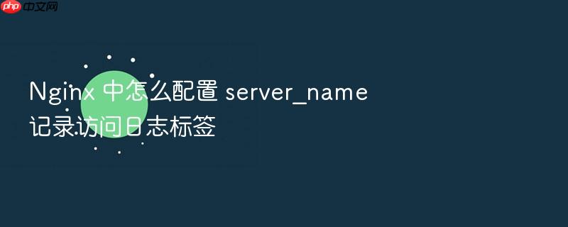 nginx 中怎么配置 server_name 记录访问日志标签