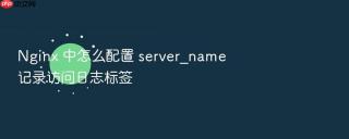 nginx 中怎么配置 server_name 记录访问日志标签