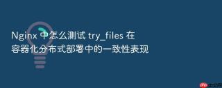 Nginx 中怎么测试 try_files 在容器化分布式部署中的一致性表现