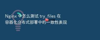 nginx 中怎么测试 try_files 在容器化分布式部署中的一致性表现