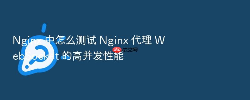 nginx 中怎么测试 nginx 代理 websocket 的高并发性能