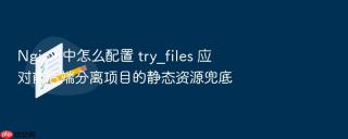 nginx 中怎么配置 try_files 应对前后端分离项目的静态资源兜底