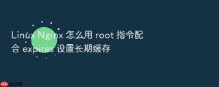 Linux Nginx 怎么用 root 指令配合 expires 设置长期缓存