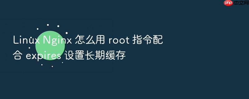 linux nginx 怎么用 root 指令配合 expires 设置长期缓存