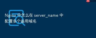 nginx 中怎么在 server_name 中配置多个备用域名