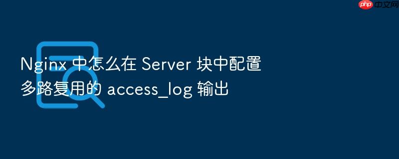 nginx 中怎么在 server 块中配置多路复用的 access_log 输出