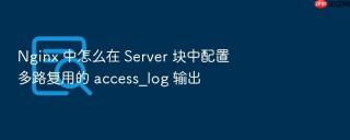 nginx 中怎么在 server 块中配置多路复用的 access_log 输出