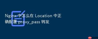 Nginx 中怎么在 Location 中正确配置 proxy_pass 转发