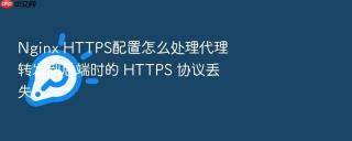 nginx https配置怎么处理代理转发到后端时的 https 协议丢失