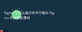 nginx 中怎么通过命令行输出 nginx 的完整配置树