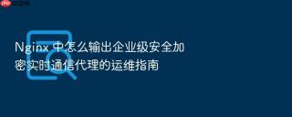 nginx 中怎么输出企业级安全加密实时通信代理的运维指南