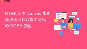 html5 中 canvas 像素处理怎么获取指定坐标的 rgba 颜色