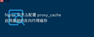 Nginx 中怎么配置 proxy_cache 启用基础的反向代理缓存