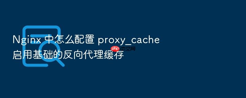 nginx 中怎么配置 proxy_cache 启用基础的反向代理缓存