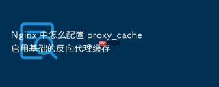nginx 中怎么配置 proxy_cache 启用基础的反向代理缓存