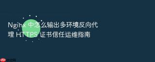 nginx 中怎么输出多环境反向代理 https 证书信任运维指南