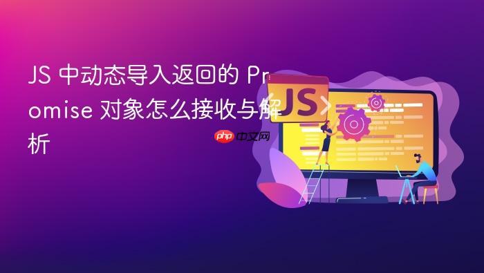 js 中动态导入返回的 promise 对象怎么接收与解析