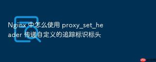 nginx 中怎么使用 proxy_set_header 传递自定义的追踪标识标头